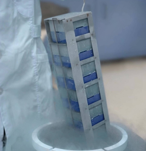 凍存架與(yu) 凍存管 凍存架與(yu) 凍存管