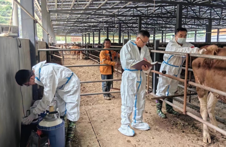 牛育種專(zhuan) 用液氮罐 牛育種專(zhuan) 用液氮罐