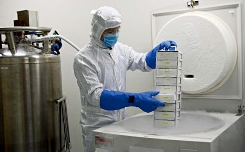 液氮罐應用 液氮罐應用