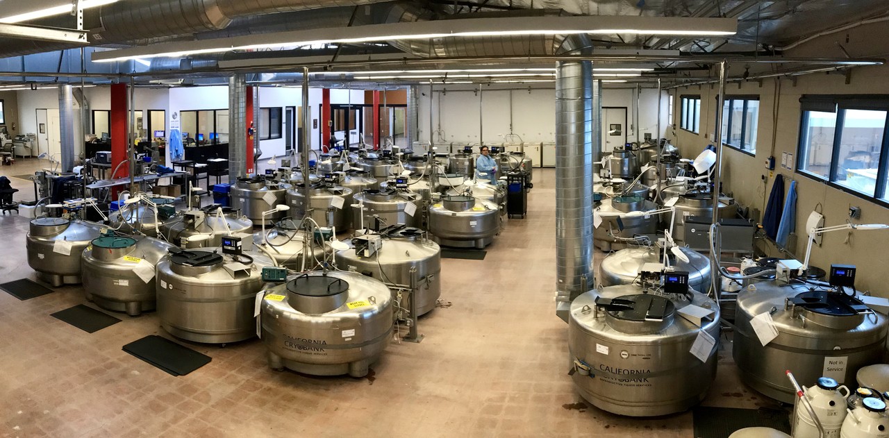 氣相存儲(chu) 氣相存儲(chu)