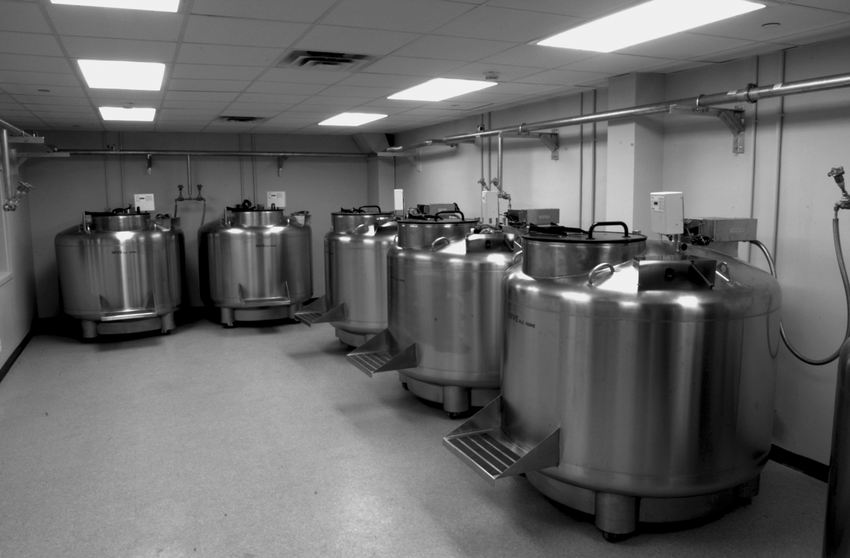 集中供液 集中供液