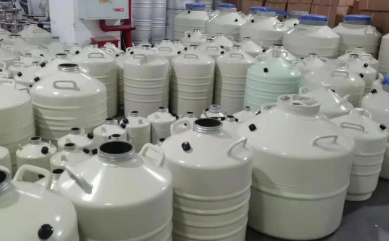 儲(chu) 存型液氮罐